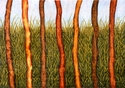 Walking Sticks Walking%20Sticks (thumbnail)