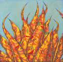 Agave (thumbnail)