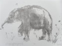 Elephant (thumbnail)