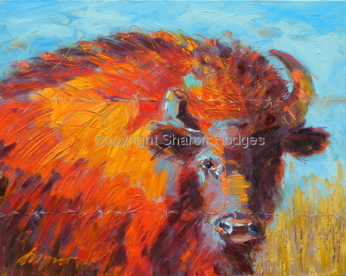 Painting-Western-Bison King