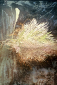 Painting-Sable Swan