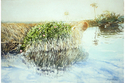 Painting--Watercolor-SeascapeDancing With The Tide
