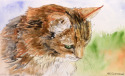 Helena Kuttner-Giasson - Princess Outdoors II
