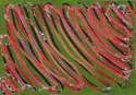 Untitled%20Waves%20Olive%20Green (thumbnail)