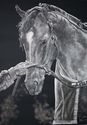 Race%20Horse (thumbnail)