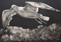 In%20Flight (thumbnail)