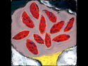Painting--Acrylic-ImpressionismChagall Tree
