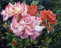 The%20Rose%20Collection (thumbnail)