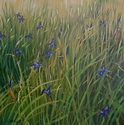 Iris%20Field (thumbnail)