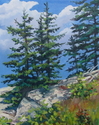 Fir%20Trees (thumbnail)
