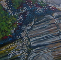 Barnacles (thumbnail)