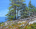 Eagle%20Island%20In%20July (thumbnail)