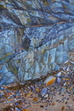 Shells%20Washed%20Ashore (thumbnail)