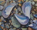 Mussel%20Shell%20Study (thumbnail)