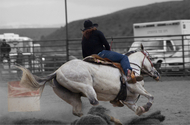 Barrel%20Racing%20Wilsall%20Rodeo%20Montana (thumbnail)