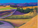 County%20Road%20Past%20Sheep%20Creek (thumbnail)