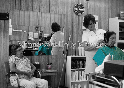 The%20Hair%20Cut (large view)