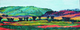 Painting--Oil-LandscapeCottonwoods Along The Smith River 1