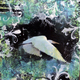 Mixed Media-Southern Exposure 4 of 8