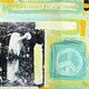 Mixed Media-Chartreuse The New Green II