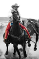 Photography--Digital-AnimalsWilsall Rodeo