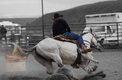 Photography--Digital-AnimalsBarrel Racing Wilsall Rodeo Montana