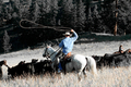 Photography-The American West 6