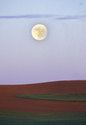 Palouse%20Moon (thumbnail)