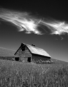 Barn%26Cowslips (thumbnail)