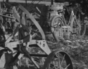Bicycle (thumbnail)