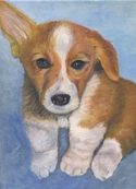 Norris (thumbnail)