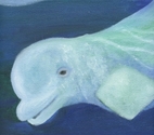 Beluga%20 (thumbnail)