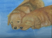 Ozzy%20and%20Pippin (thumbnail)