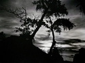 Bayangan%2C%20pagi%20%28Shadows%2C%20morning%29 (thumbnail)