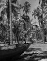 Noon%2C%20Chendering%20ca.%201960 (thumbnail)