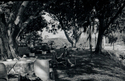 Reading%2C%20afternoon%201954 (thumbnail)