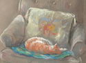 Catnap
