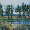 Spring at Squaw Creek
