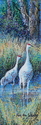 Strolling Sandhill Cranes