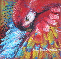 Preening Parrot