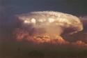 Photography--Color-NatureMushroom Cloud