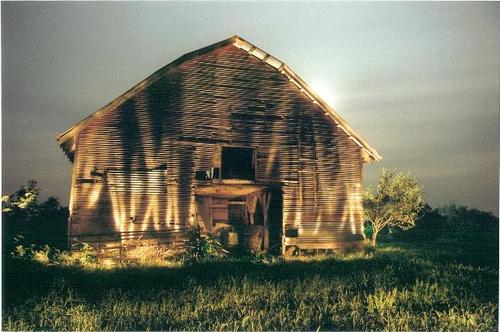 Photography-Ailey Lease #1