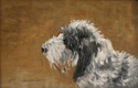 Petit%20Basset%20Griffon%20Vendeen%20PBGV..POSTCARDs (thumbnail)
