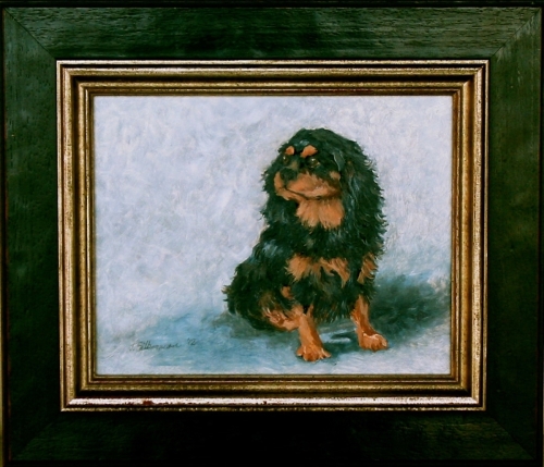 Archives Animals 