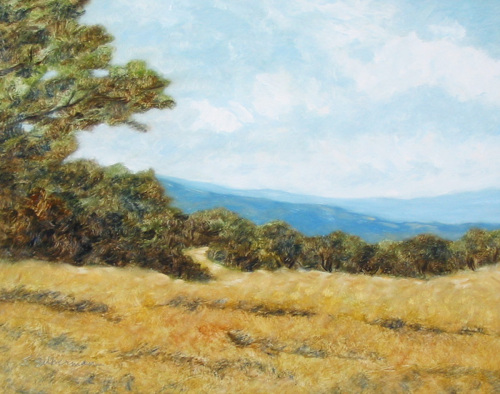 Landscapes