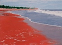 Great%20Dune%20%232%2C%20Henlopen%20State%20Park%2C%20DE (thumbnail)