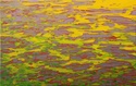 Autumn%20Sea (thumbnail)
