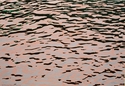 %20River%20Reflections (thumbnail)