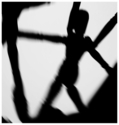 dance%20forms%20I (thumbnail)