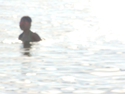 Beach%202 (thumbnail)